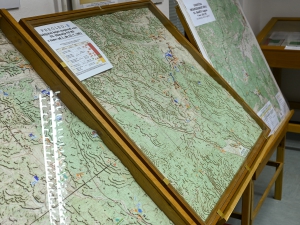 Muzejska zbirka